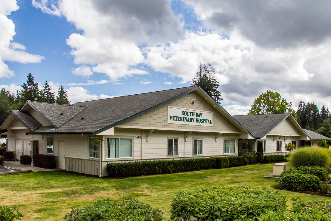 South Bay Veterinary Hospital